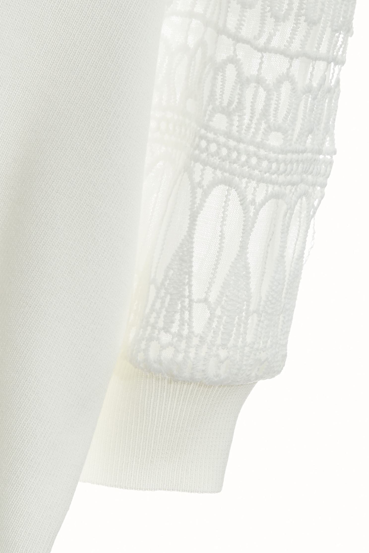 椰奶白蕾絲袖針織上衣椰奶白蕾絲袖針織上衣,上衣,秋冬穿搭,蕾絲,蕾絲上衣,針織,針織上衣,針織衫