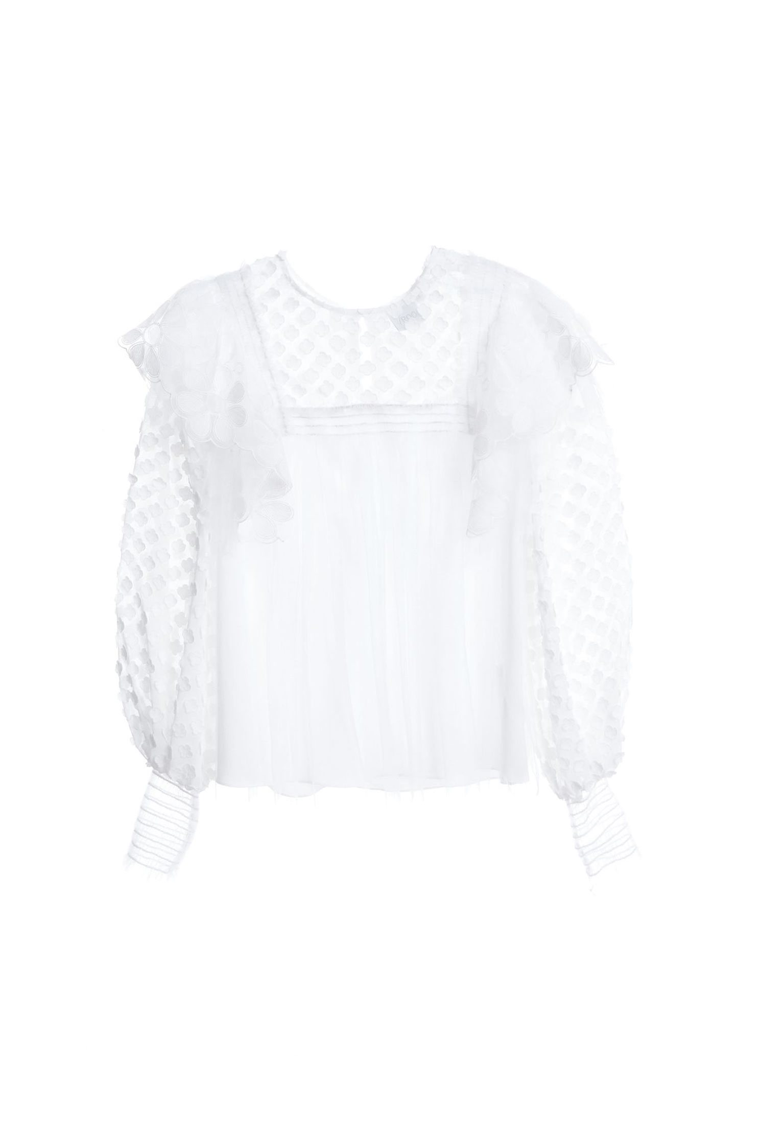 Chiffon mesh top,top,whitetop,mesh,longsleevetop,chiffon,chiffontop
