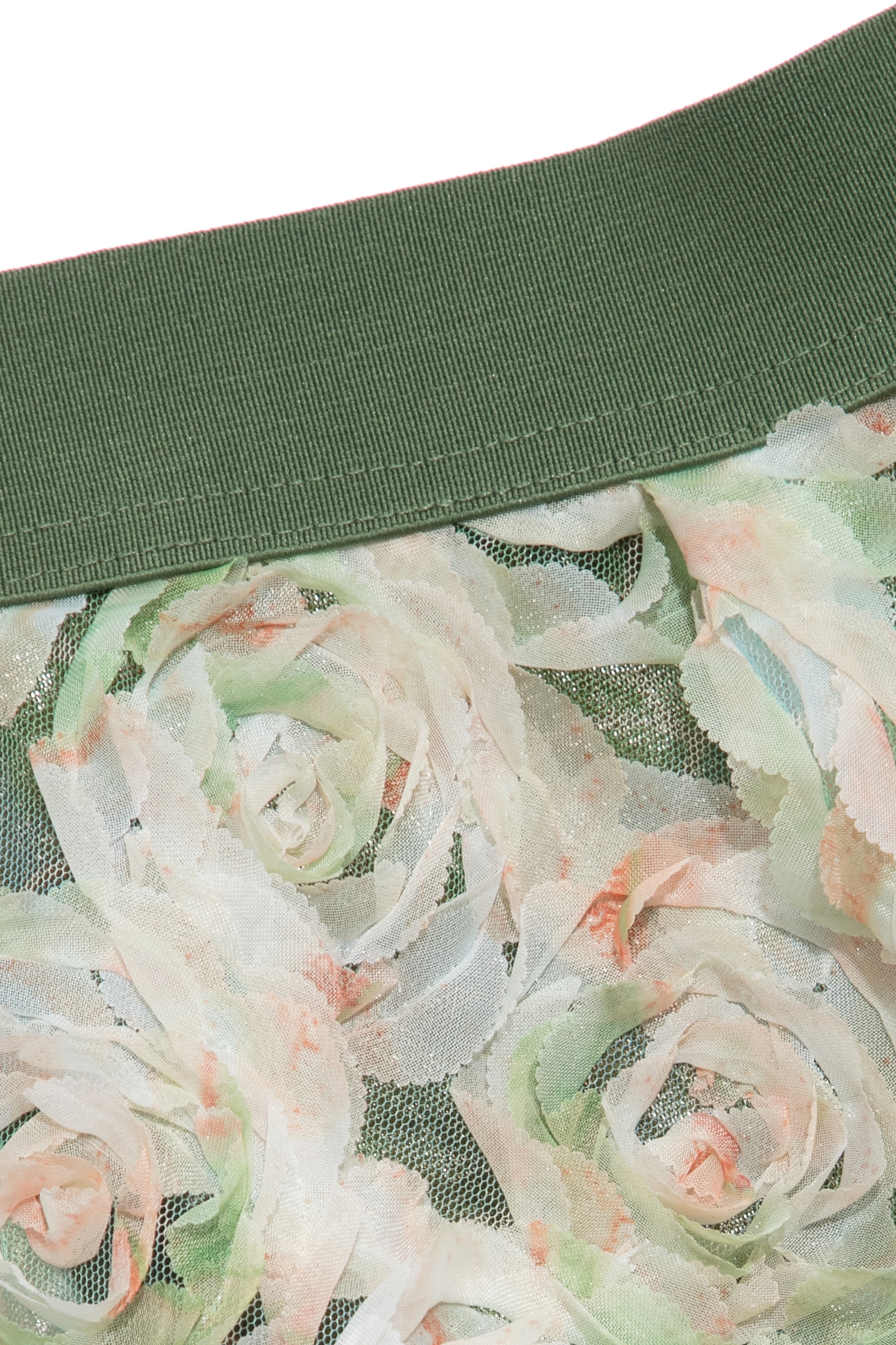 以色列綠玫瑰長裙以色列綠玫瑰長裙,刺繡,派對特輯,秋冬穿搭,紗裙,網紗,花花世界,長裙