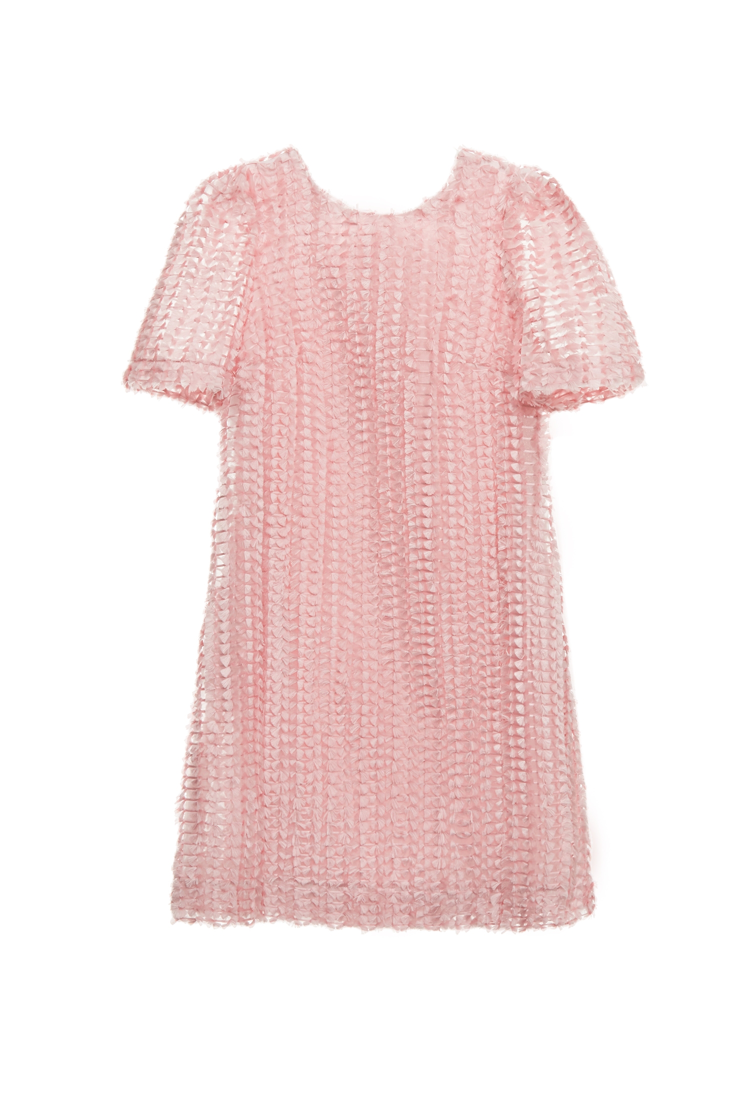 新娘粉綁結禮服洋裝新娘粉綁結禮服洋裝,小禮服,洋裝特輯,短袖洋裝,禮服,秋冬穿搭,蝴蝶結