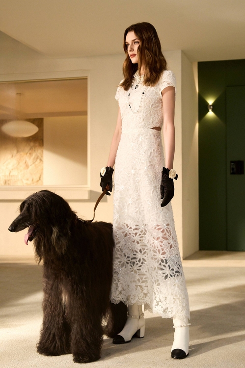 網布立體壓花奢華長洋,,網布立體壓花奢華長洋,一般洋裝,人氣商品,春夏穿搭,一般洋裝,春夏穿搭,珍珠,白色洋裝,一般洋裝,小禮服,春夏穿搭,荷葉,蕾絲,雪紡,雪紡洋裝,一般洋裝,丹寧,春夏穿搭,條紋,一般洋裝,春夏穿搭,一般洋裝,春夏穿搭,洋裝特輯,長袖洋裝,一般洋裝,春夏穿搭,荷葉,一般洋裝,春夏穿搭,一般洋裝,春夏穿搭,條紋,針織,雪紡,黑色洋裝,一般洋裝,春夏穿搭,白色洋裝,蕾絲,一般洋裝,春夏穿搭,洋裝特輯,襯衫,輕奢度假,輕奢渡假,長洋裝,一般洋裝,刺繡,春夏穿搭,一般洋裝,小禮服,小香風,春夏穿搭,荷葉,雪紡,雪紡洋裝,V領洋裝,一般洋裝,春夏穿搭,一般洋裝,春夏穿搭,繡花,荷葉,U領洋裝,一般洋裝,人氣商品,小禮服,春夏穿搭,洋裝特輯,約會特輯,蕾絲,蕾絲洋裝,蕾絲裙,長袖洋裝,一般洋裝,人氣商品,春夏穿搭,洋裝特輯,短袖洋裝,約會特輯,蕾絲,一般洋裝,春夏穿搭,白色洋裝,蕾絲