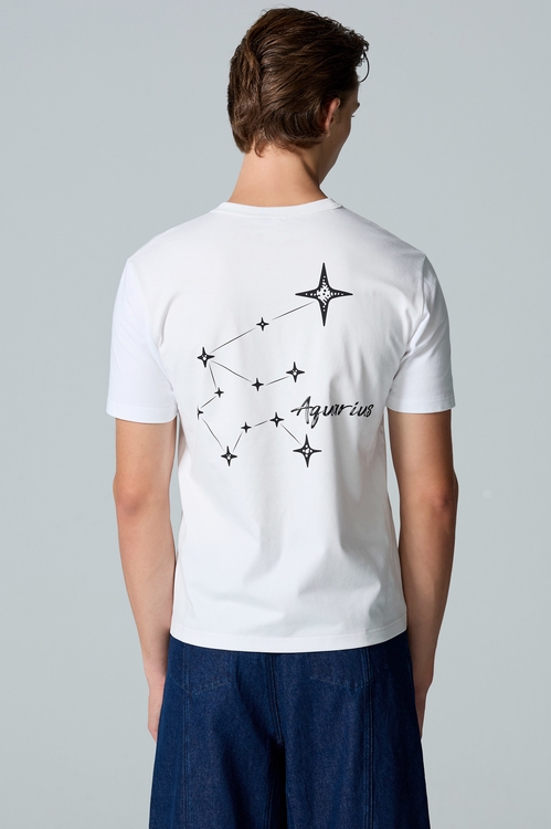 水瓶座男版Ｔ恤上衣,T-Shirt