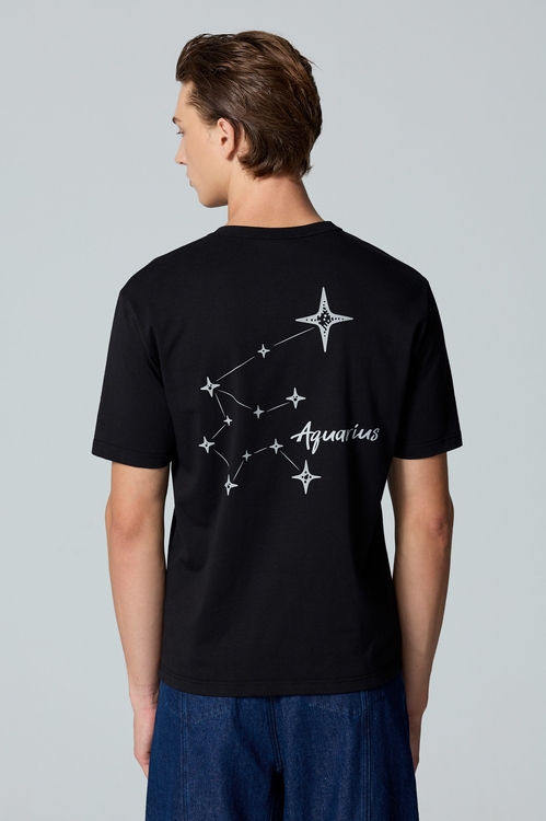 水瓶座男版Ｔ恤上衣,T-Shirt