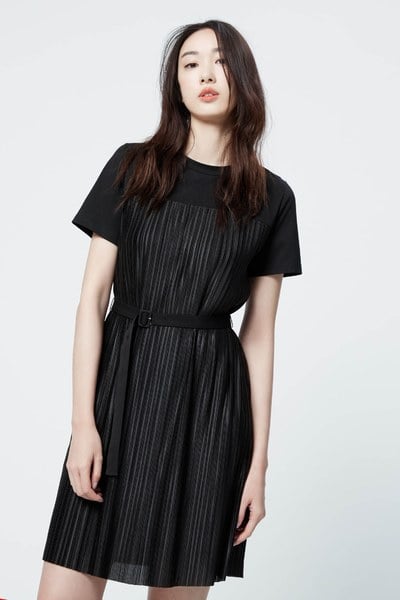 Delicate pleated dress