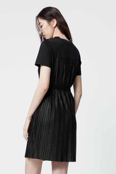 Delicate pleated dress