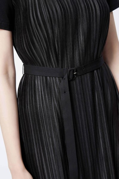 Delicate pleated dress