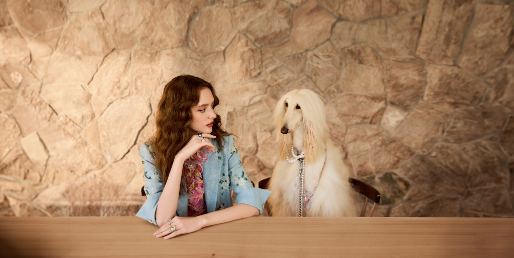 柔光花境 Luminous Bloom